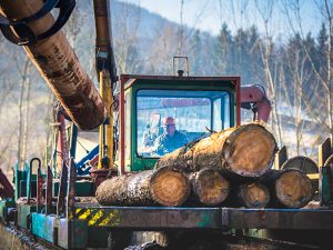 Lubricants for Wood products industry featured
