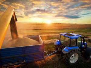 agriculture